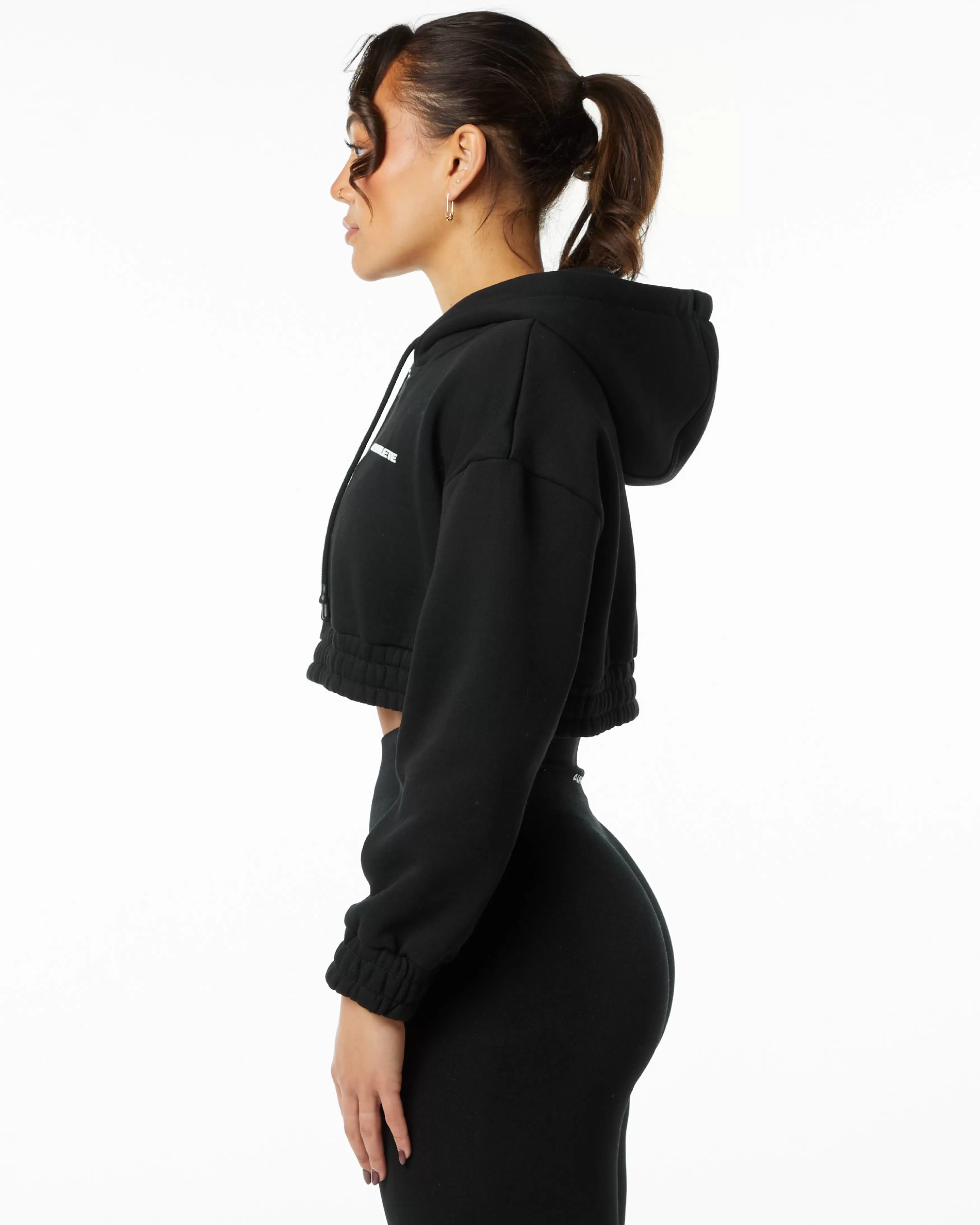 Women Alphalete Athletics Hoodies & Sweatshirts>Classic Capital Crop Hoodie