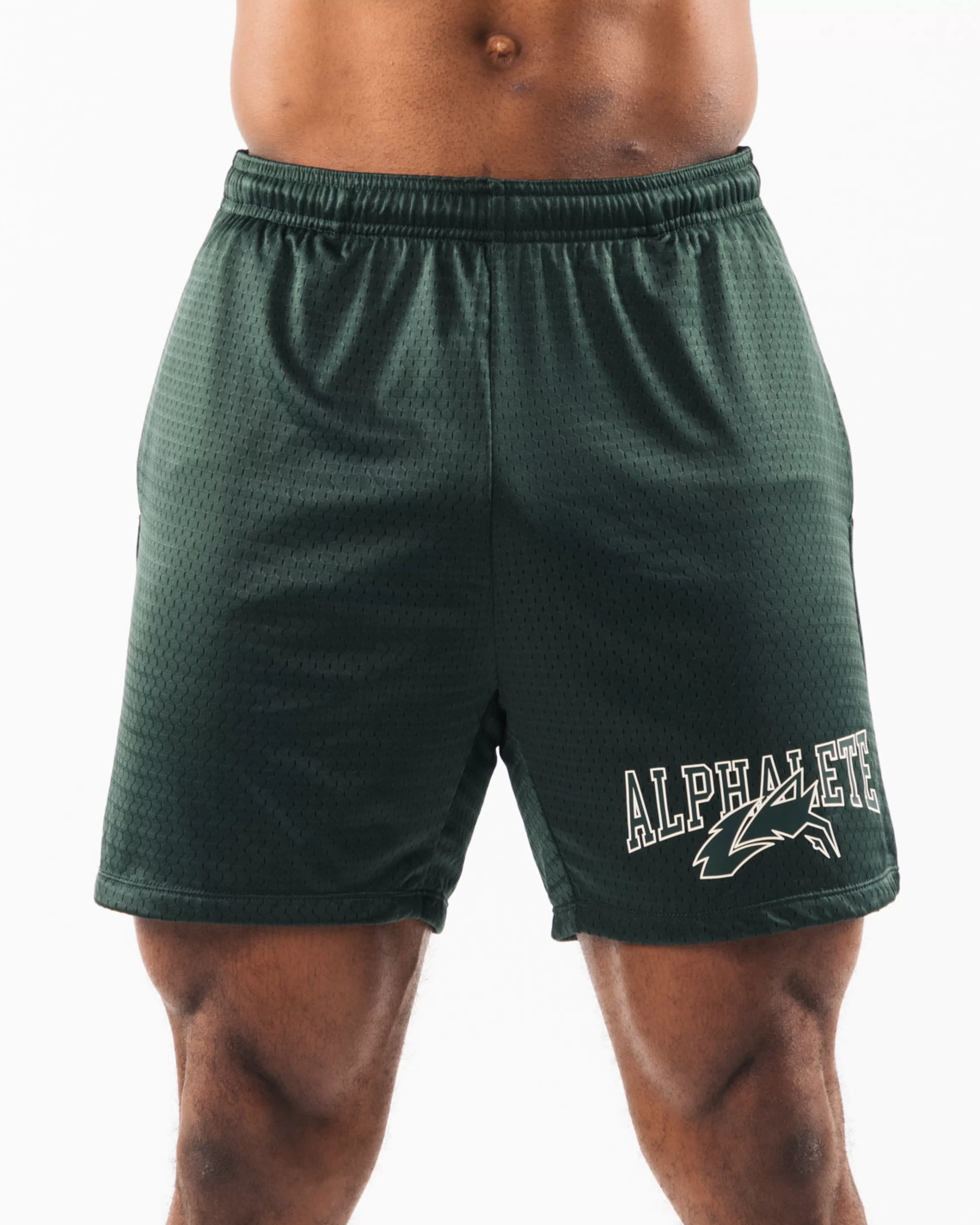 Alphalete Athletics Shorts>Wolf Head Mesh Short 6"