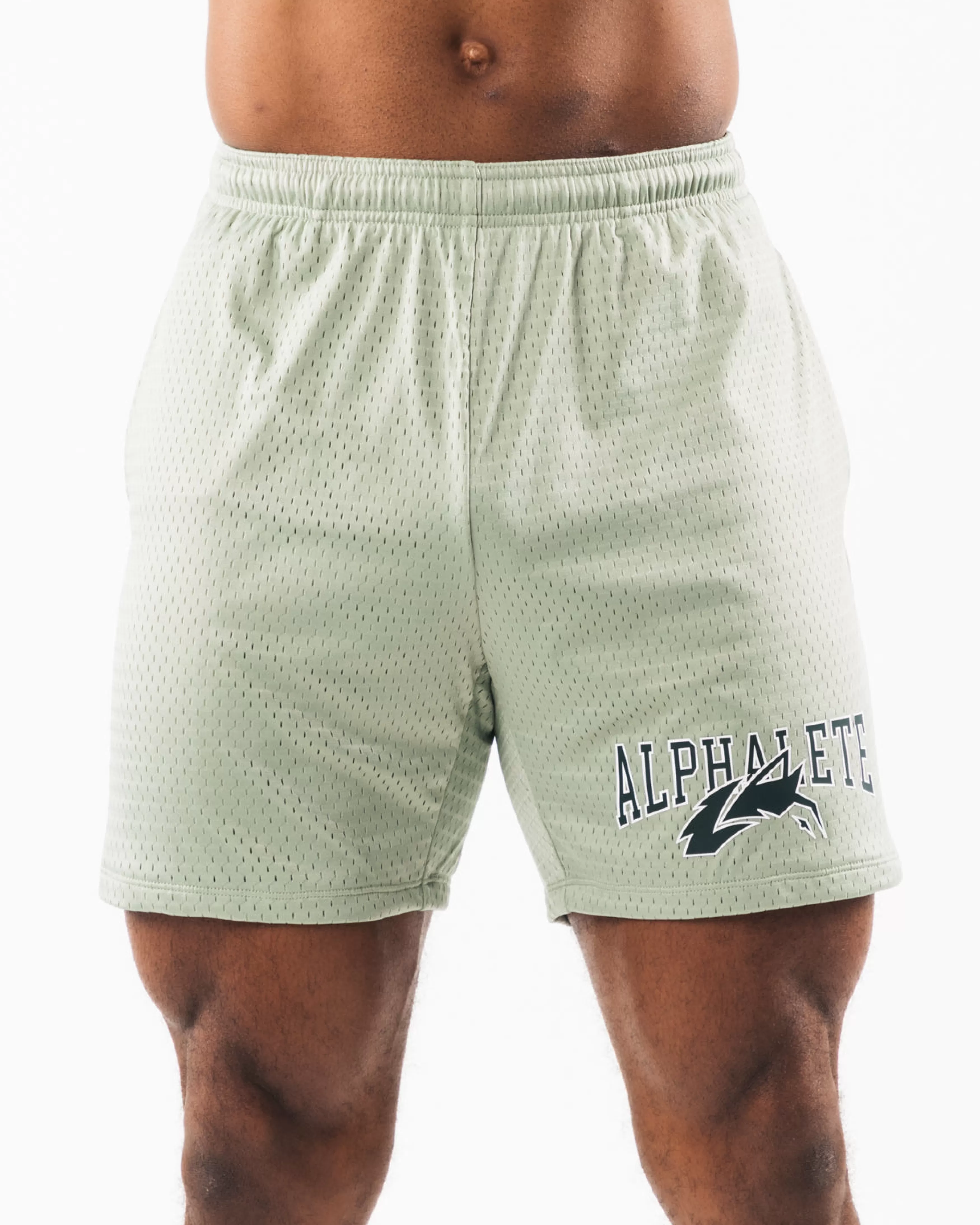 Alphalete Athletics Shorts>Wolf Head Mesh Short 6"