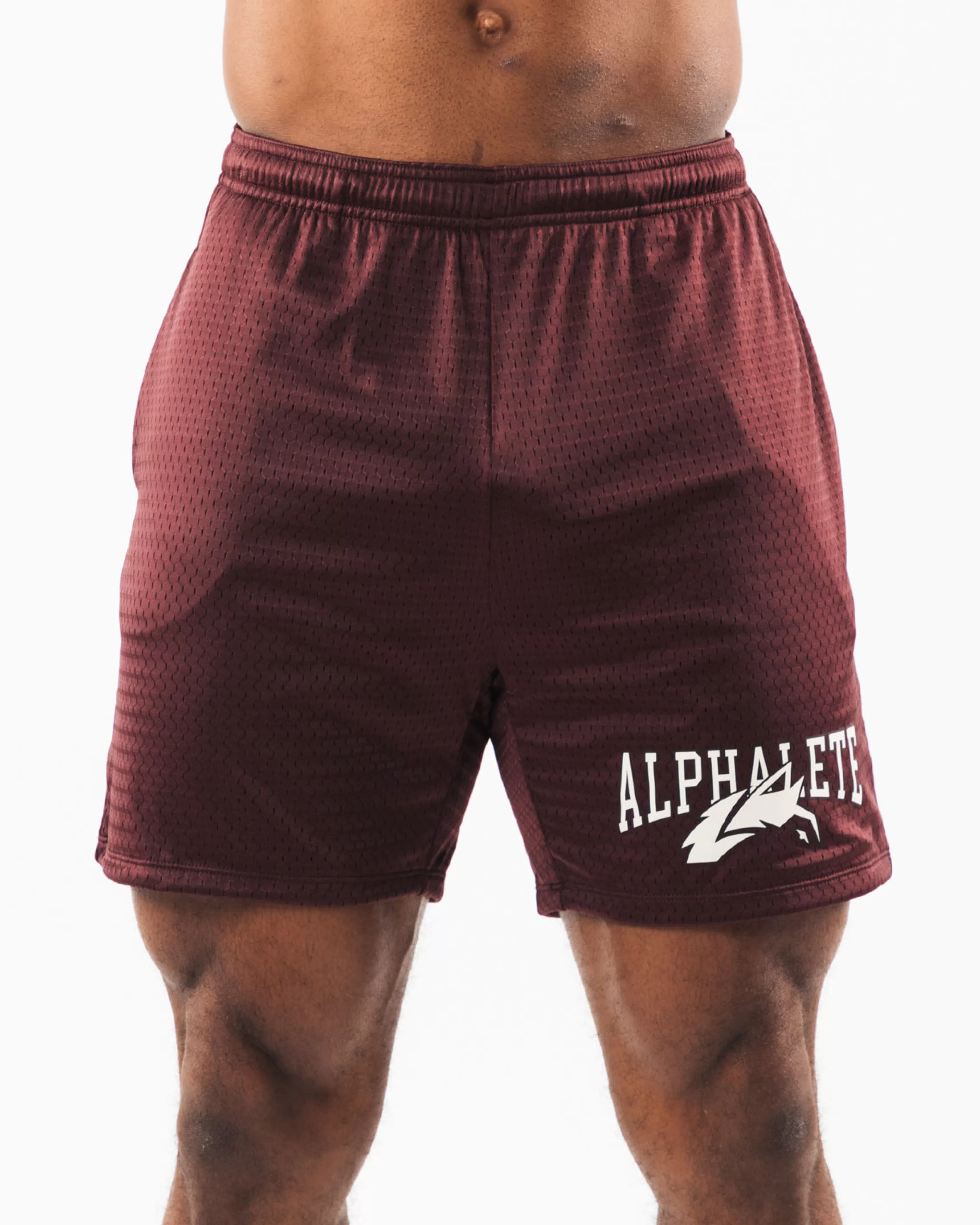 Alphalete Athletics Shorts>Wolf Head Mesh Short 6"